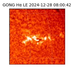 gong - 2024-12-28T08:00:42