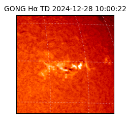 gong - 2024-12-28T10:00:22