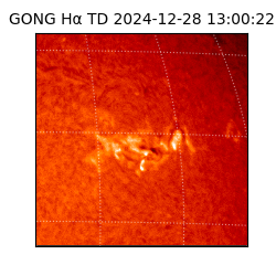 gong - 2024-12-28T13:00:22