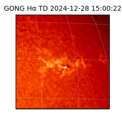 gong - 2024-12-28T15:00:22