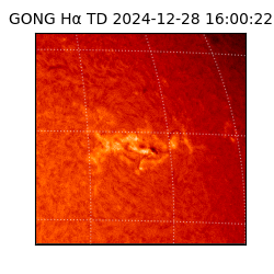 gong - 2024-12-28T16:00:22