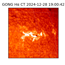 gong - 2024-12-28T19:00:42
