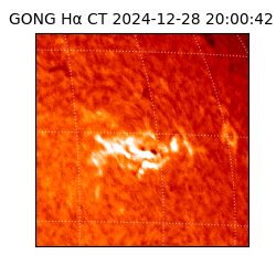 gong - 2024-12-28T20:00:42