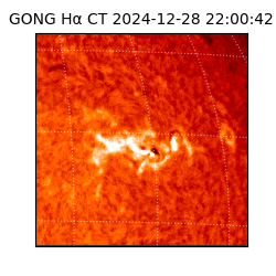 gong - 2024-12-28T22:00:42
