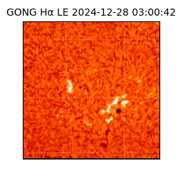 gong - 2024-12-28T03:00:42