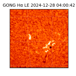 gong - 2024-12-28T04:00:42