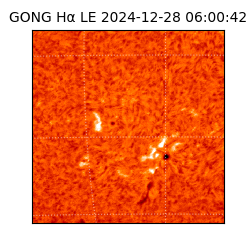 gong - 2024-12-28T06:00:42