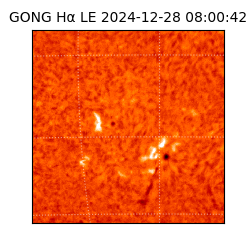 gong - 2024-12-28T08:00:42