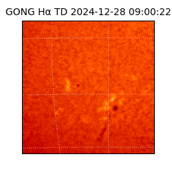 gong - 2024-12-28T09:00:22