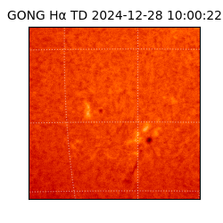 gong - 2024-12-28T10:00:22