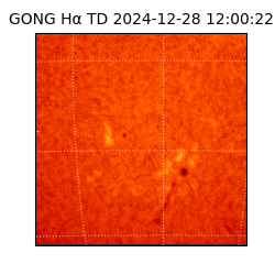 gong - 2024-12-28T12:00:22