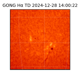 gong - 2024-12-28T14:00:22