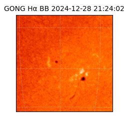 gong - 2024-12-28T21:24:02