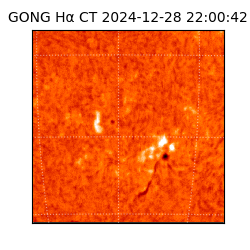 gong - 2024-12-28T22:00:42
