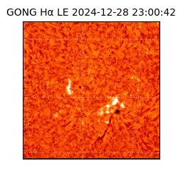 gong - 2024-12-28T23:00:42