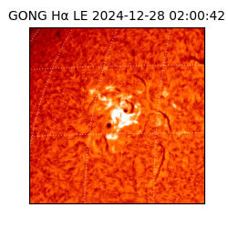 gong - 2024-12-28T02:00:42