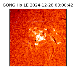 gong - 2024-12-28T03:00:42