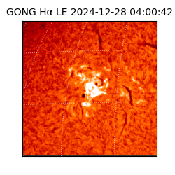 gong - 2024-12-28T04:00:42