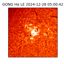 gong - 2024-12-28T05:00:42