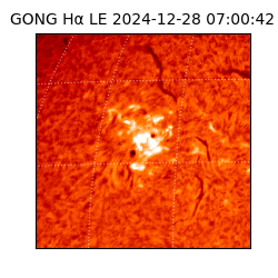 gong - 2024-12-28T07:00:42