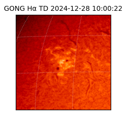 gong - 2024-12-28T10:00:22