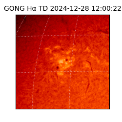 gong - 2024-12-28T12:00:22