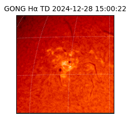 gong - 2024-12-28T15:00:22