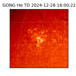 gong - 2024-12-28T16:00:22