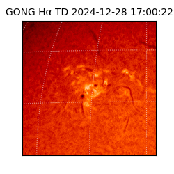 gong - 2024-12-28T17:00:22