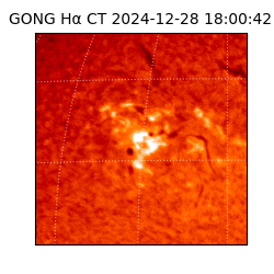 gong - 2024-12-28T18:00:42