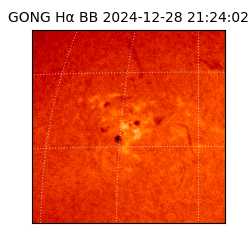 gong - 2024-12-28T21:24:02