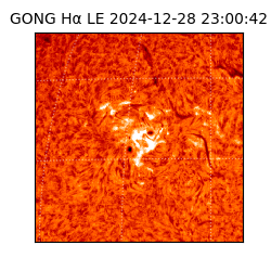 gong - 2024-12-28T23:00:42