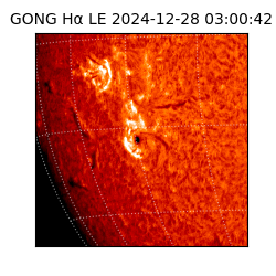 gong - 2024-12-28T03:00:42