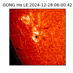 gong - 2024-12-28T06:00:42