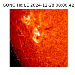gong - 2024-12-28T08:00:42