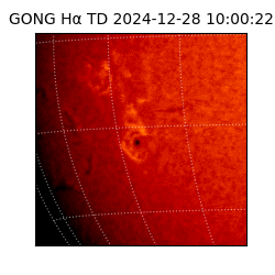 gong - 2024-12-28T10:00:22