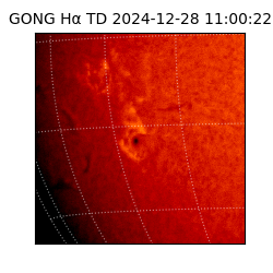 gong - 2024-12-28T11:00:22