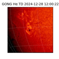 gong - 2024-12-28T12:00:22