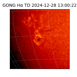 gong - 2024-12-28T13:00:22