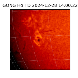 gong - 2024-12-28T14:00:22