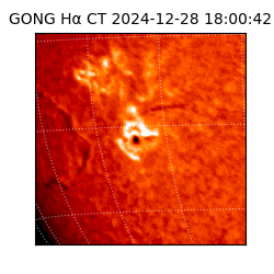 gong - 2024-12-28T18:00:42