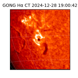 gong - 2024-12-28T19:00:42