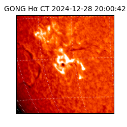 gong - 2024-12-28T20:00:42