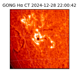 gong - 2024-12-28T22:00:42
