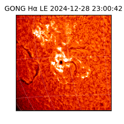 gong - 2024-12-28T23:00:42