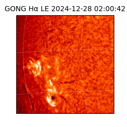 gong - 2024-12-28T02:00:42
