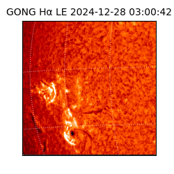 gong - 2024-12-28T03:00:42