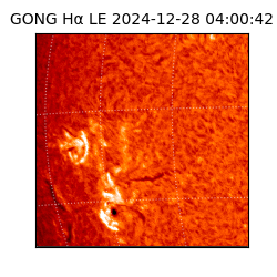 gong - 2024-12-28T04:00:42