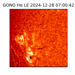 gong - 2024-12-28T07:00:42