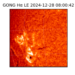 gong - 2024-12-28T08:00:42